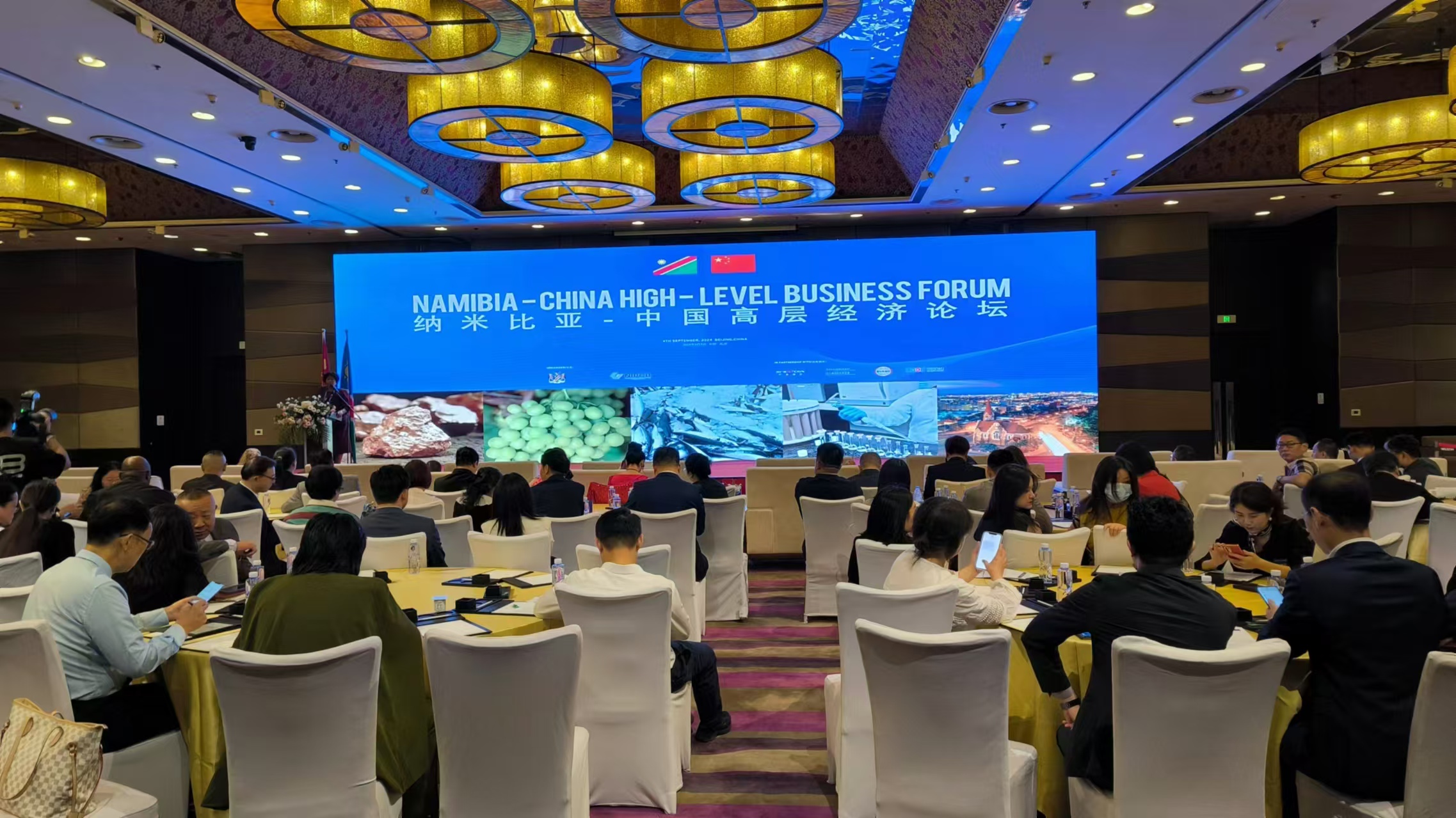 纳米比亚-中国高层经济论坛成功召开